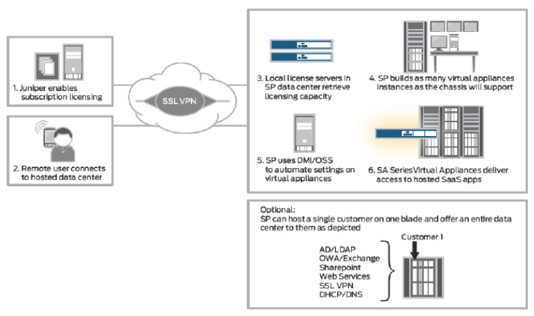 Figure 1: Virtual appliance schematic Pulse